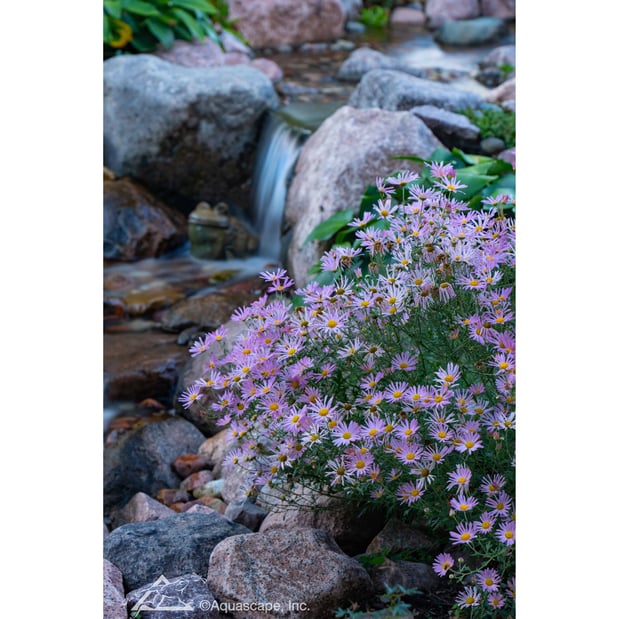 Images P Douglas Waterscapes