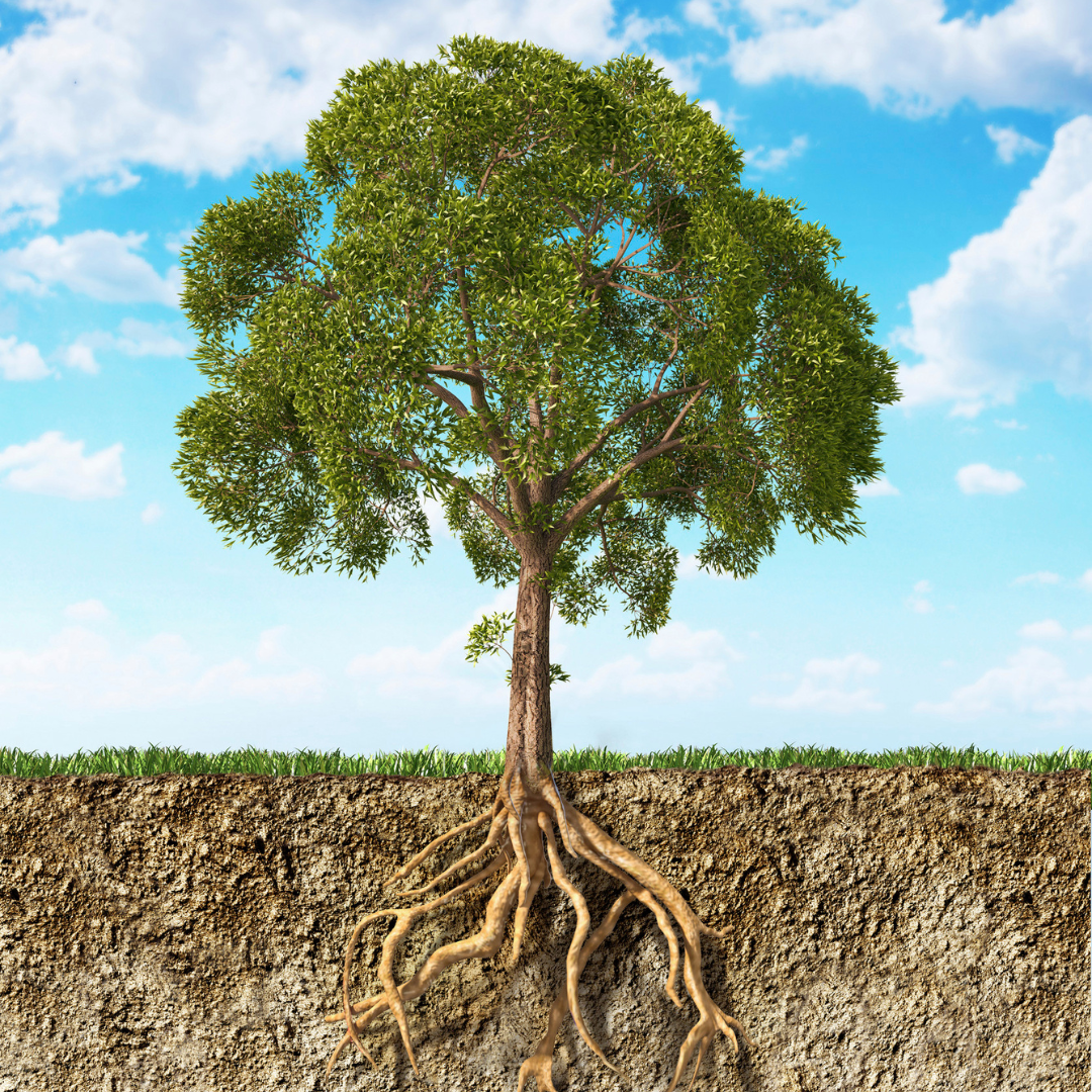 Capps Plumbing & Sewer Inc. Image