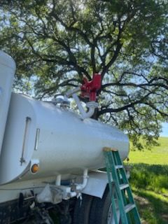 White utility or tanker truck parked outdoors beneath a large tree, with a technician standing on a ladder near the top-mounted piping or valve assembly while performing maintenance or inspection.