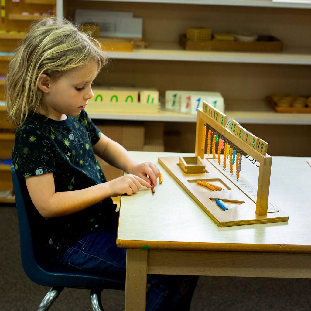 Montessori elementary and toddler programs enrich early learning.