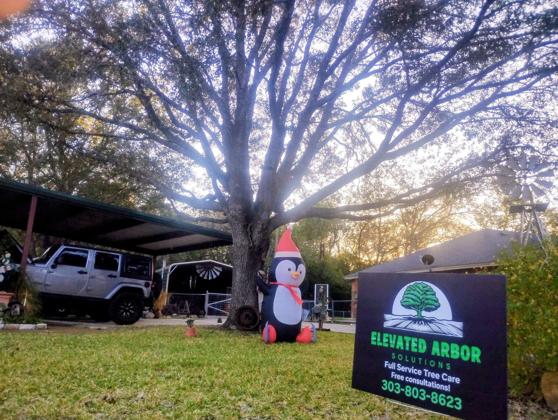 Elevated Arbor Solutions