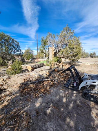 Images H & S Tree Care