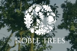 Images Noble Trees