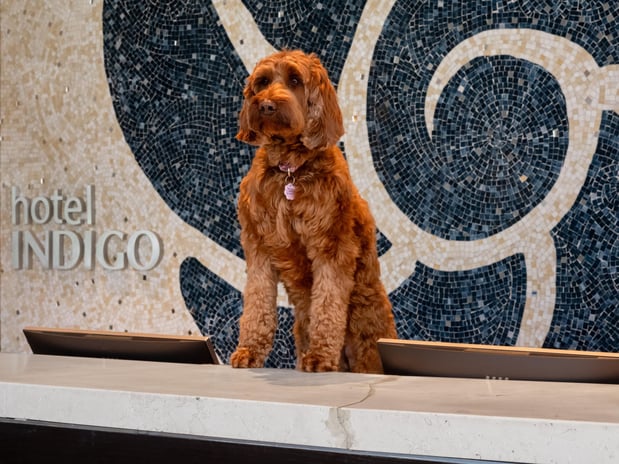 Images Hotel Indigo Long Island - East End by IHG