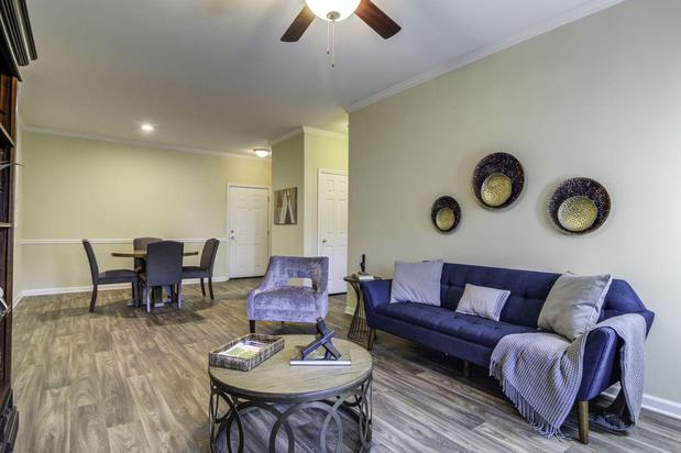 Images Evergreen Terrace