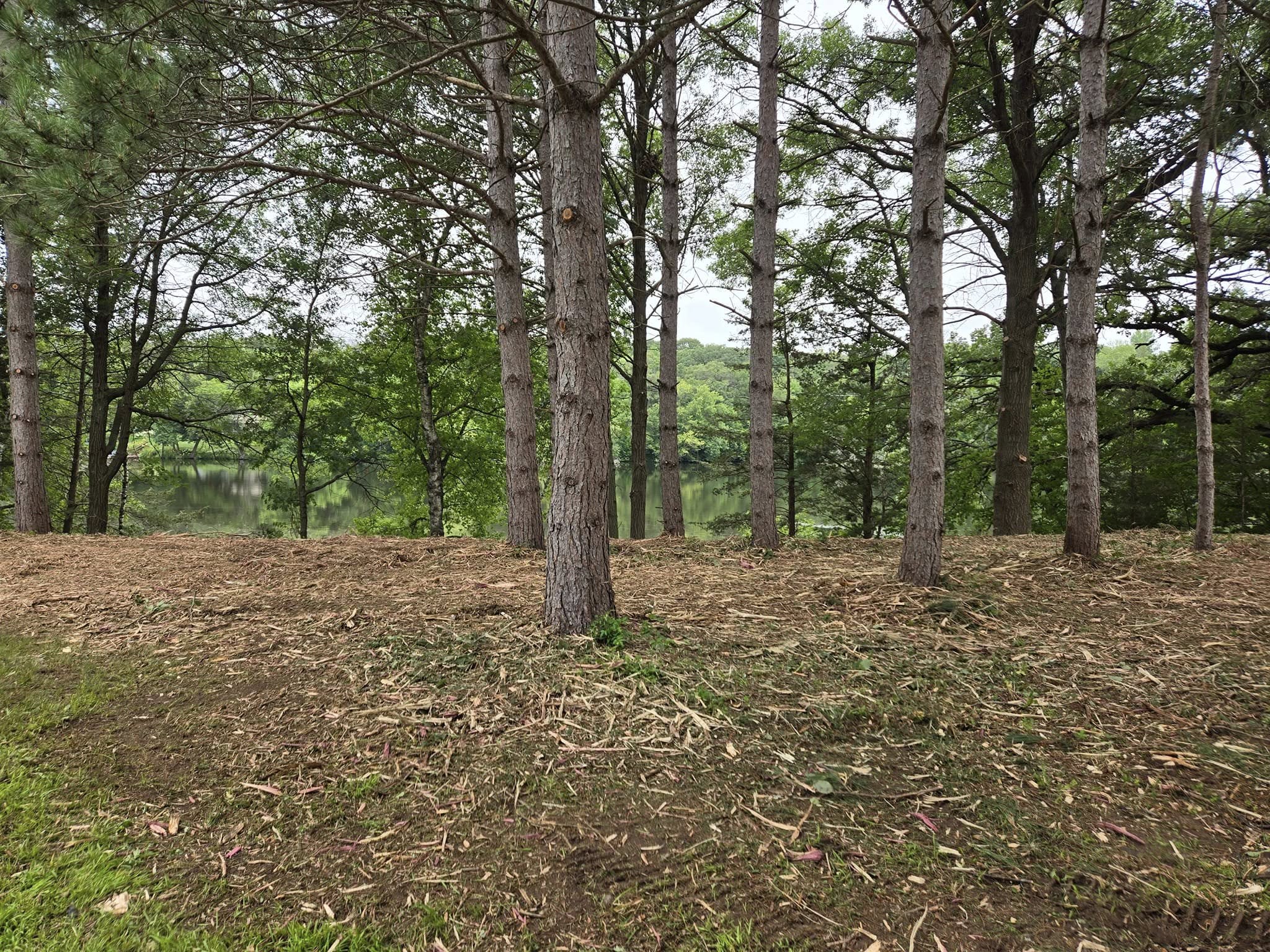 TK Land Management LLC Image