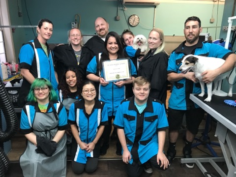 Images San Diego Grooming Academy