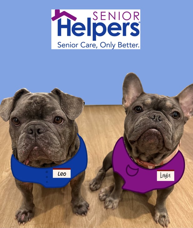 Images Senior Helpers