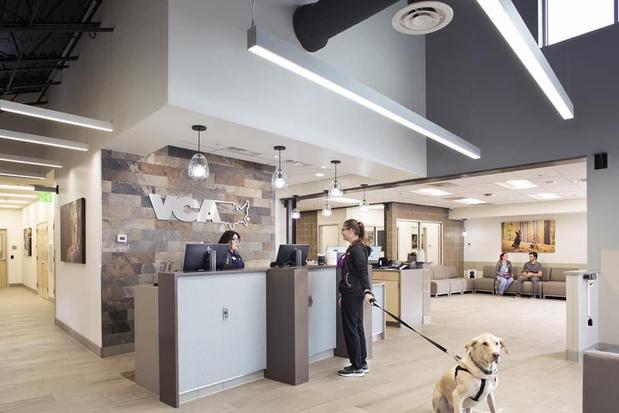 Images VCA Alameda East Veterinary Hospital