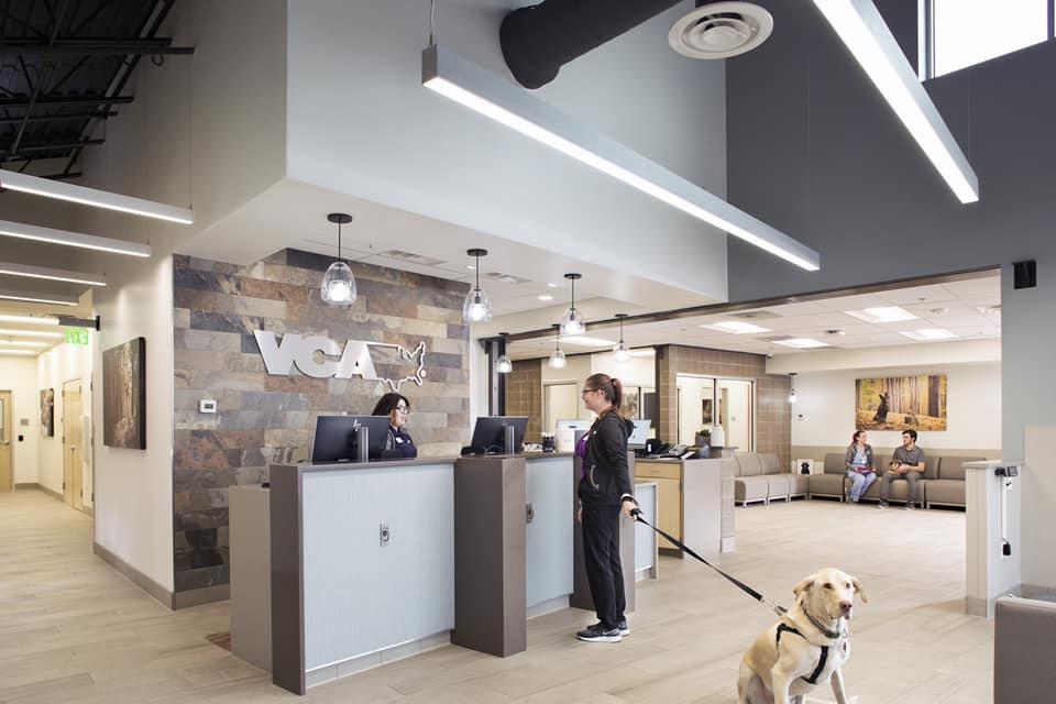 Image 16 | VCA Alameda East Veterinary Hospital
