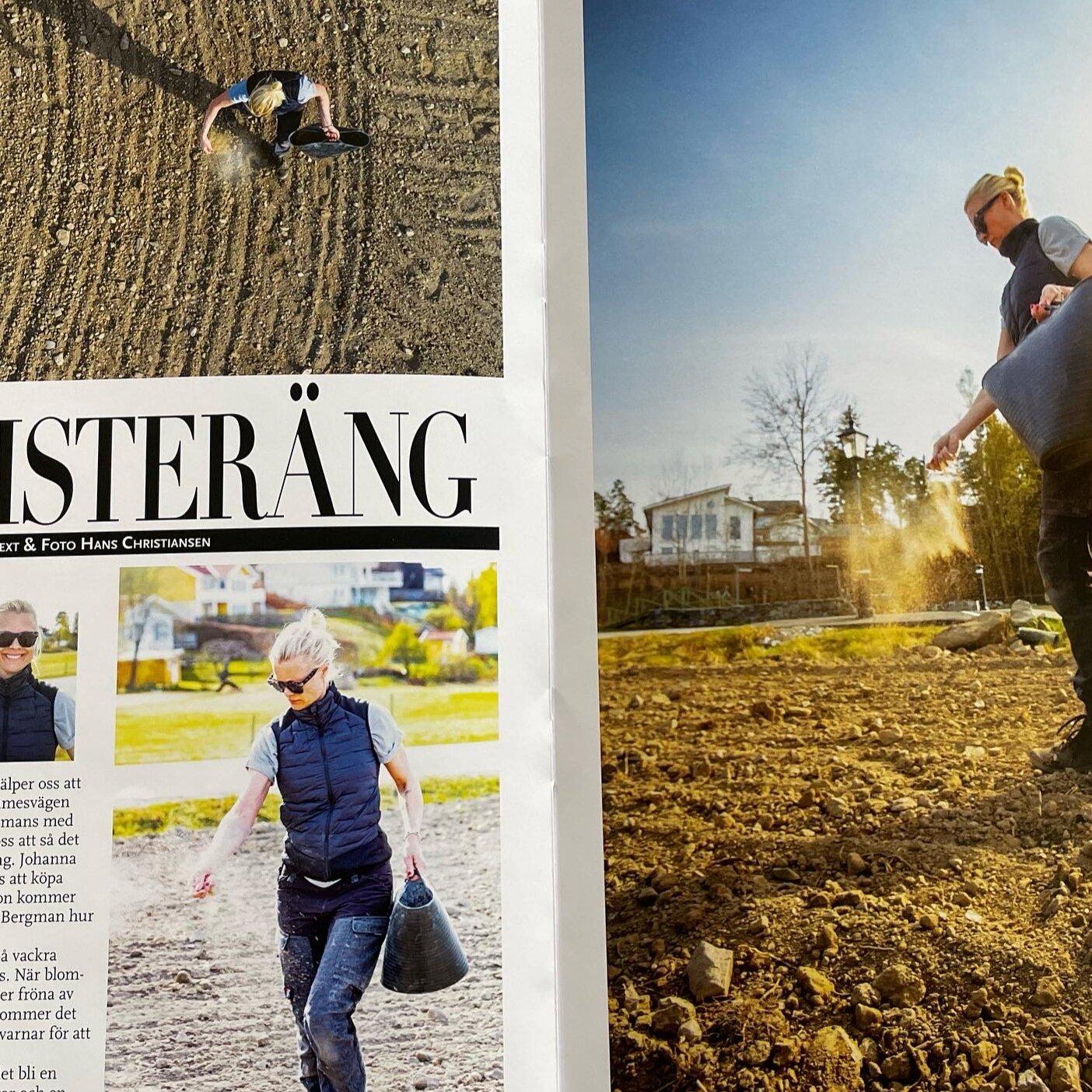 Images Queen B Trädgård- & Konsulttjänster AB