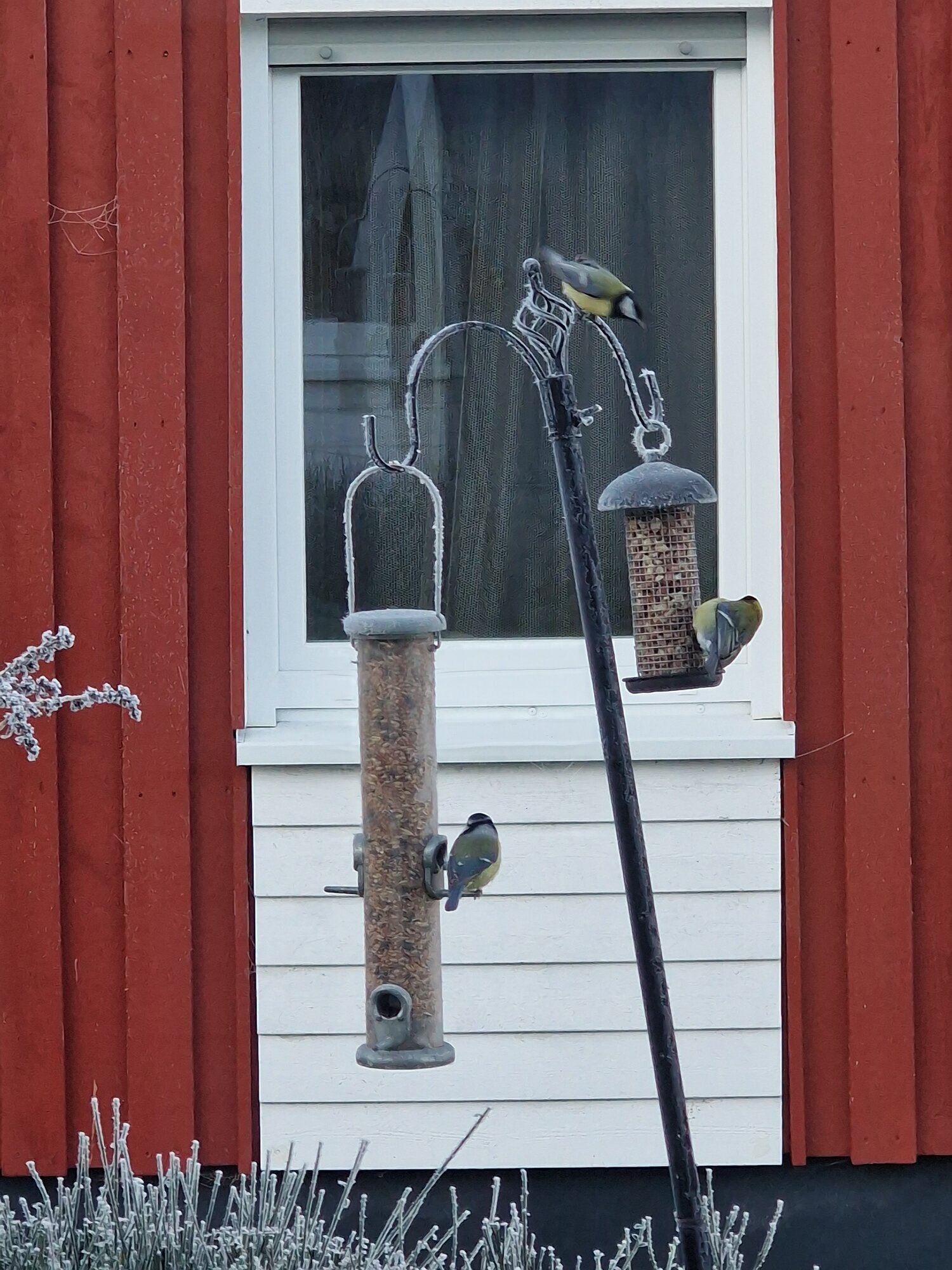 Ferienhaus Mainz am Silbersee, Silbersee 200a in Frielendorf