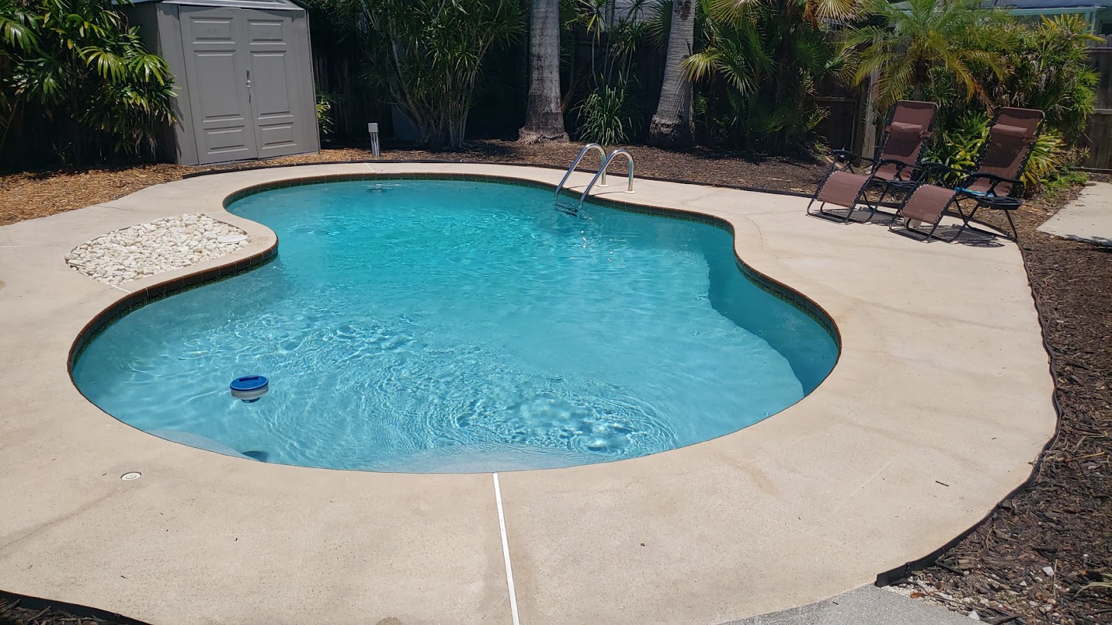 Kidney-shaped backyard swimming pool with clear blue water, curved concrete decking, lounge chairs, and tropical landscaping.