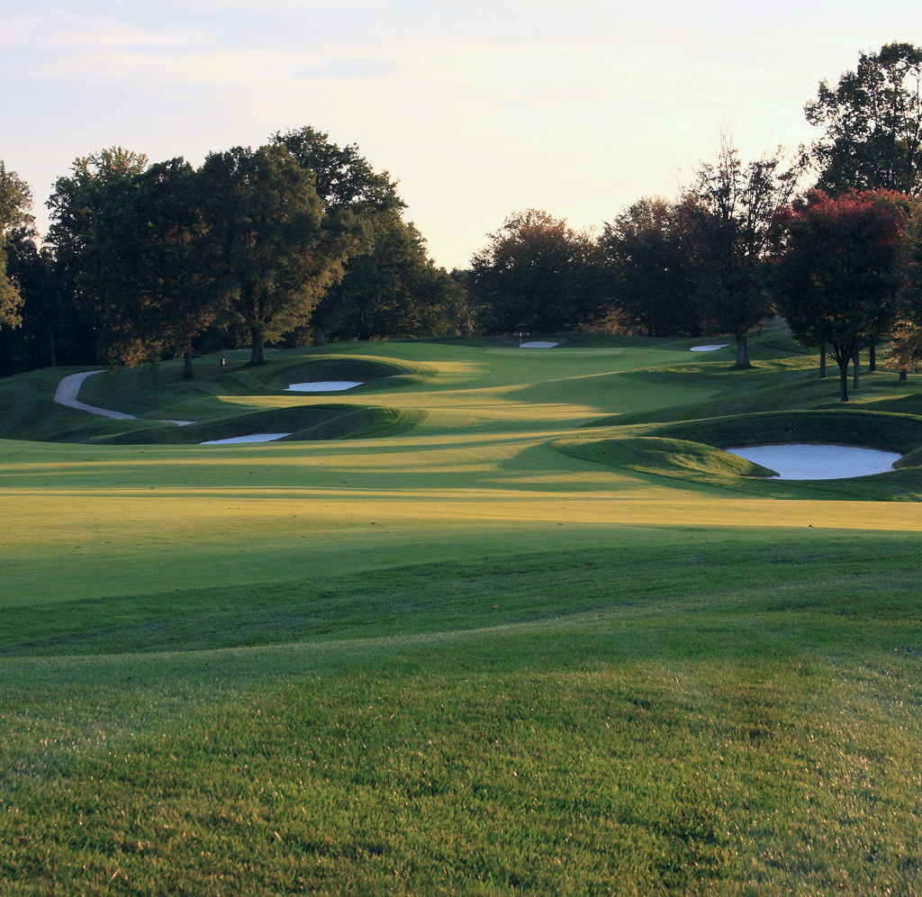 An empty golf course in the evening.