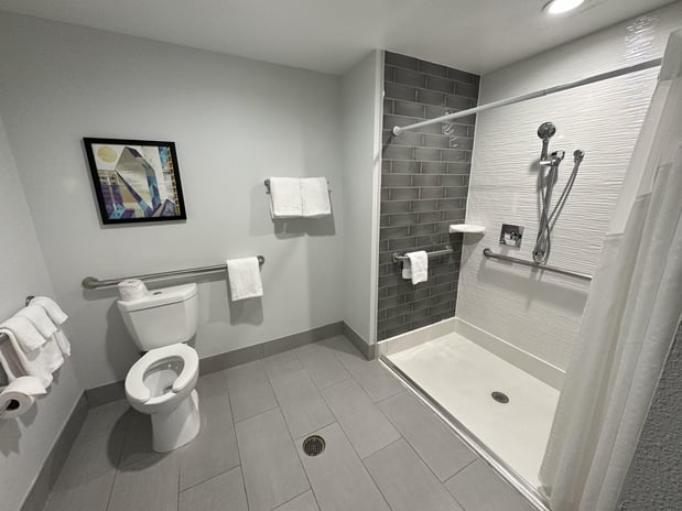 Images Holiday Inn Express Dallas Downtown by IHG