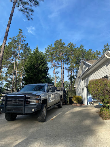 ARBOR AVES TREE EXPERTS Logo