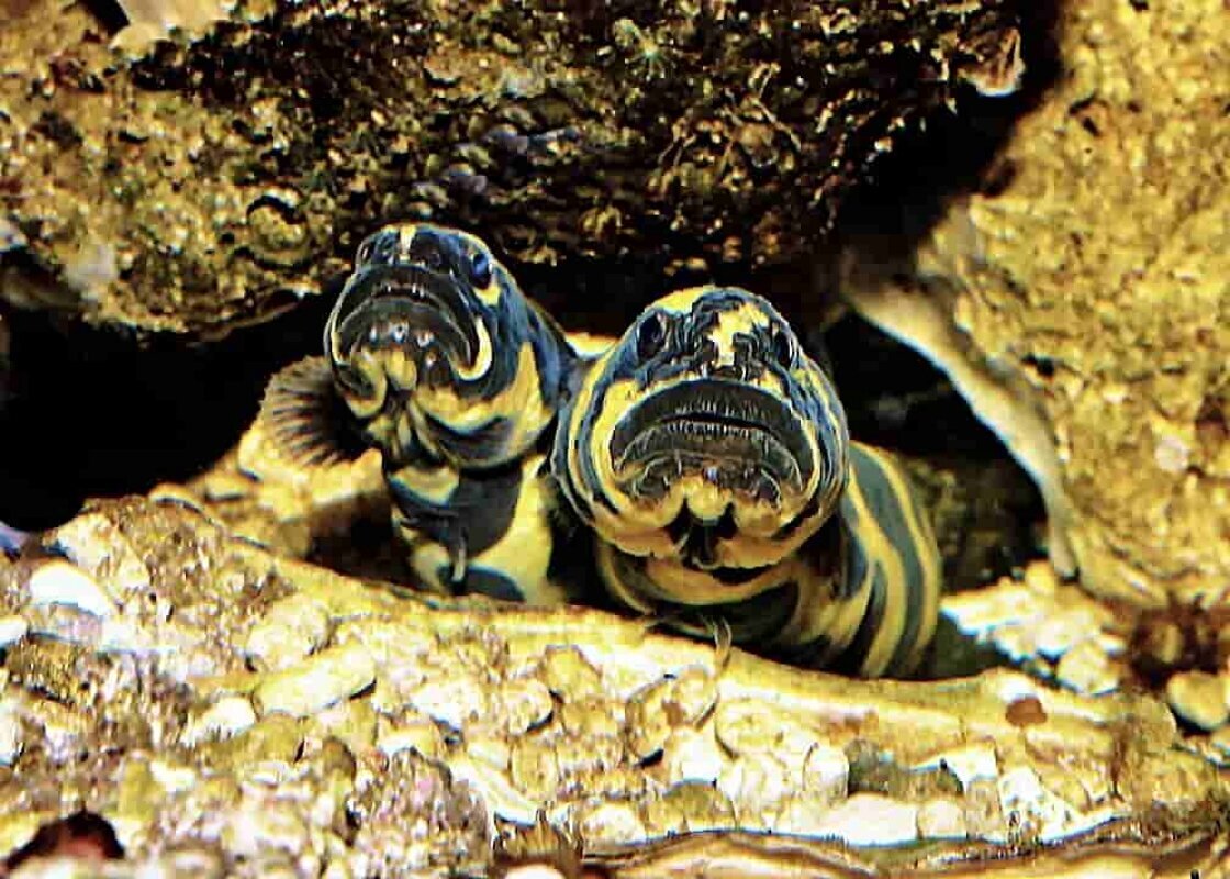 S&L Naturverlag, Bergrat-Mahr-Straße 17 in Ilmenau