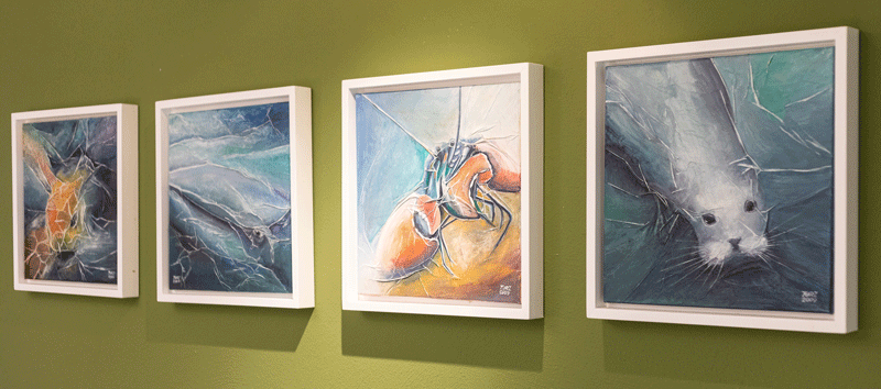 Bild 8 Herr Dr. med. Ulrich Messner in Esens