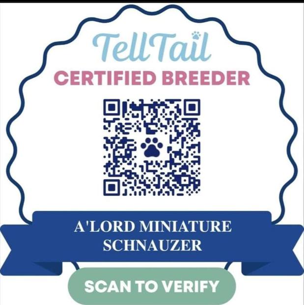 Images A'Lord Miniature Schnauzer