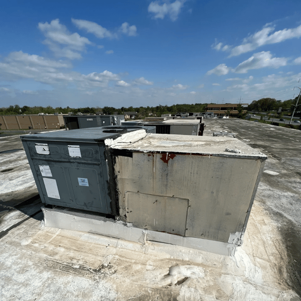 Images Shoreline Comfort