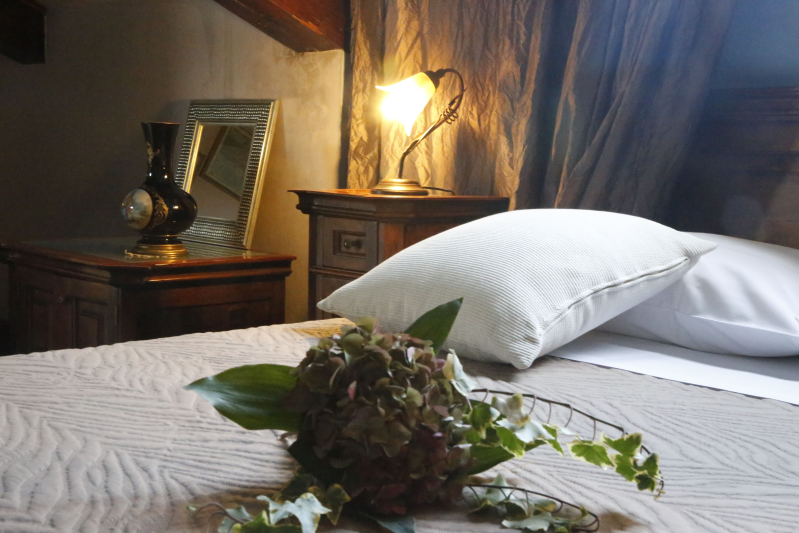 Images Hotel Damian