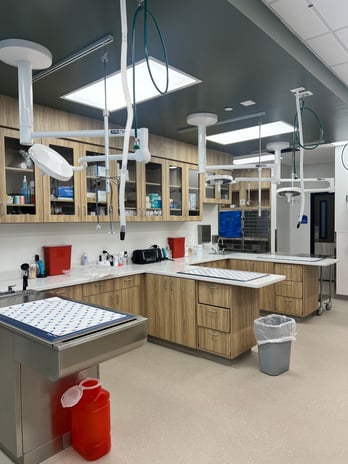 Images VCA Forest South Animal Hospital
