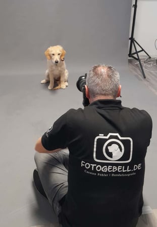 Fotogebell Hundefotografie - Carsten Pöhler Fotograf erstellt Studioaufnahme eines Welpen, professionelle Tierfotografie Münster. Sanfte Lichtführung und ruhige Atmosphäre für natürliche Bilder.