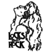 Locks That Rock Hair Design