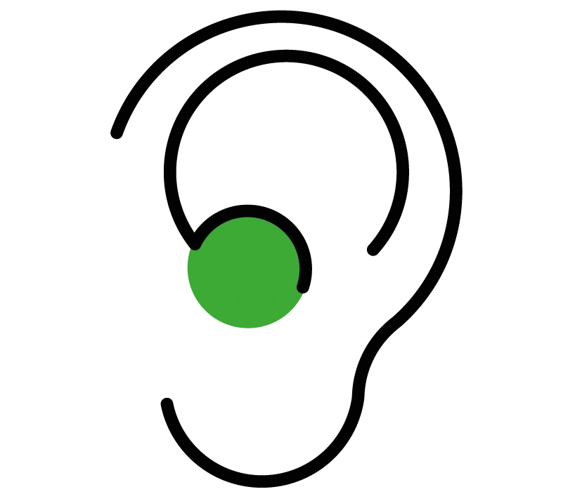 Illustration af et øre set fra siden, med sort kontur og en grøn cirkel, der markerer området ved øregangen.