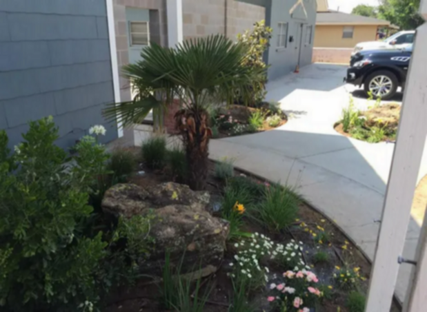 Images Franklin Foliage & Landscaping