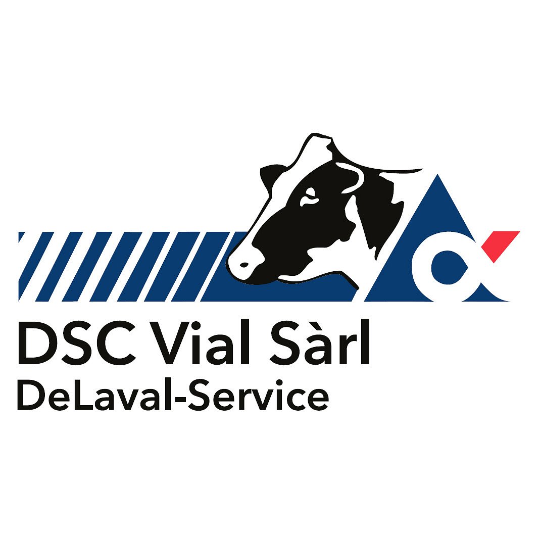 DSC Vial Sarl Logo