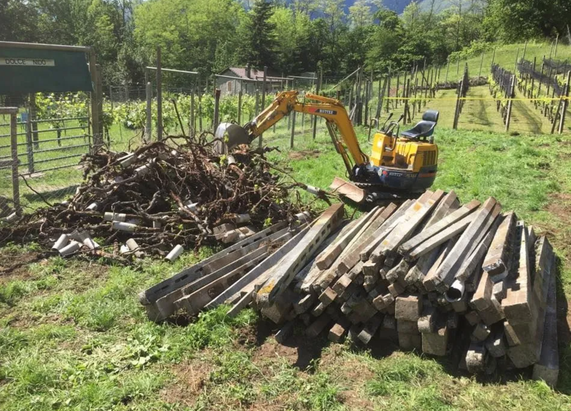 Bilder Biava Mattia - Giardiniere paesaggista