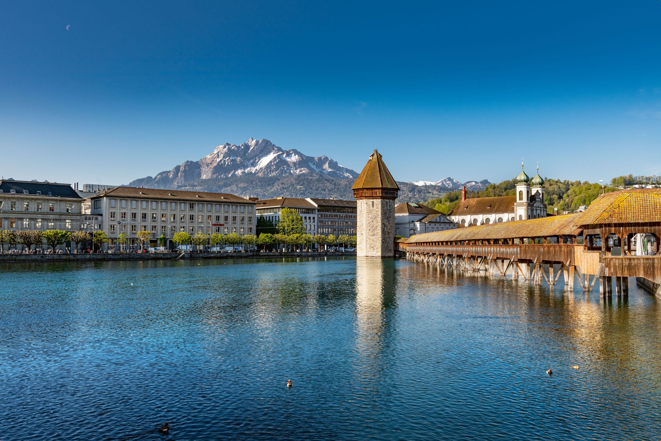 FREI'S Schulen AG Luzern, Haldenstrasse 33 in Luzern