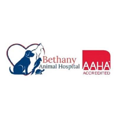 Veterinary Services | Bethany Animal Hospital | Sycamore, IL