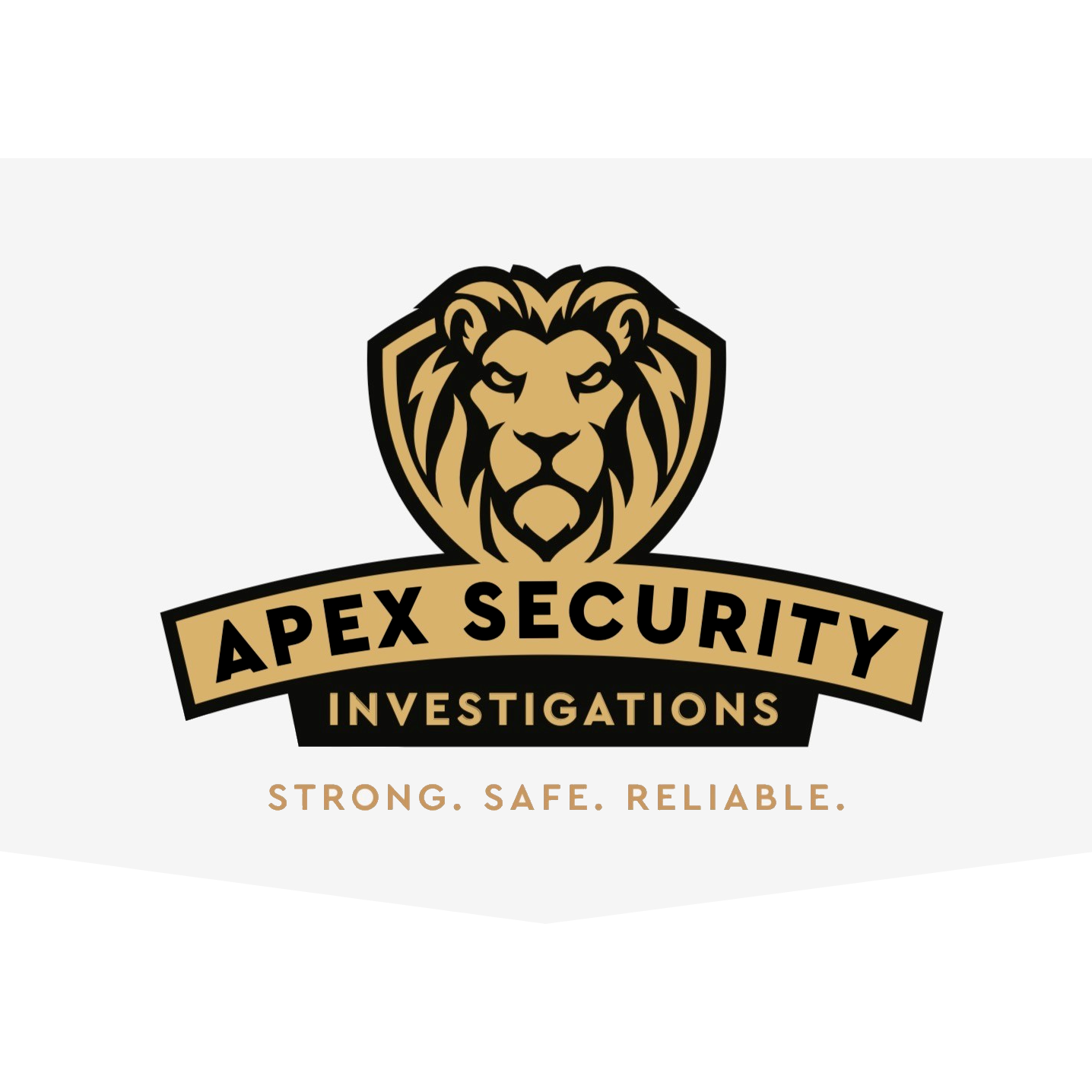 Apex Security Investigations