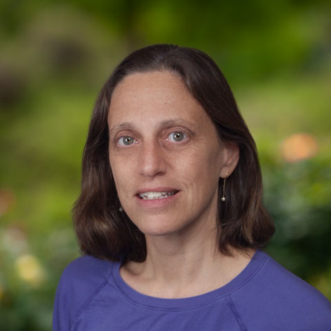 Nan A. Link