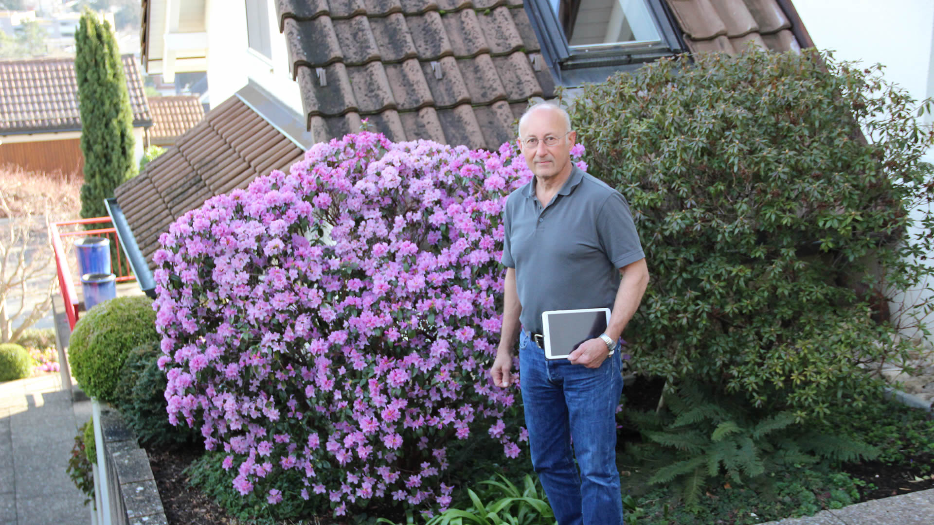 Bilder BRÜHWILER-GARTENBAU, BAUMPFLEGE