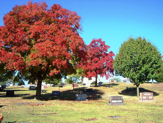 Images Memorial Park Cemetery