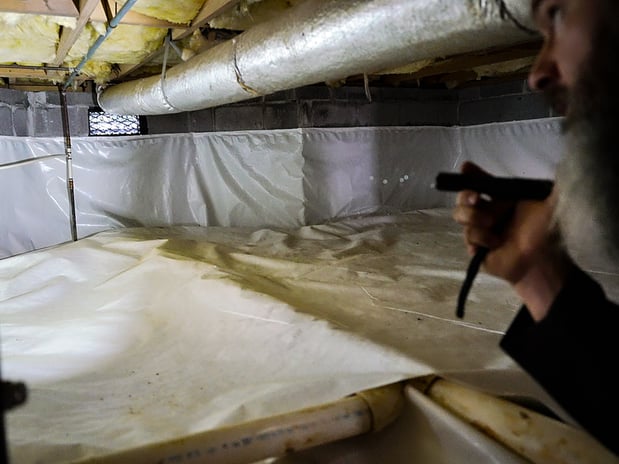 Images Pest Magic, LLC