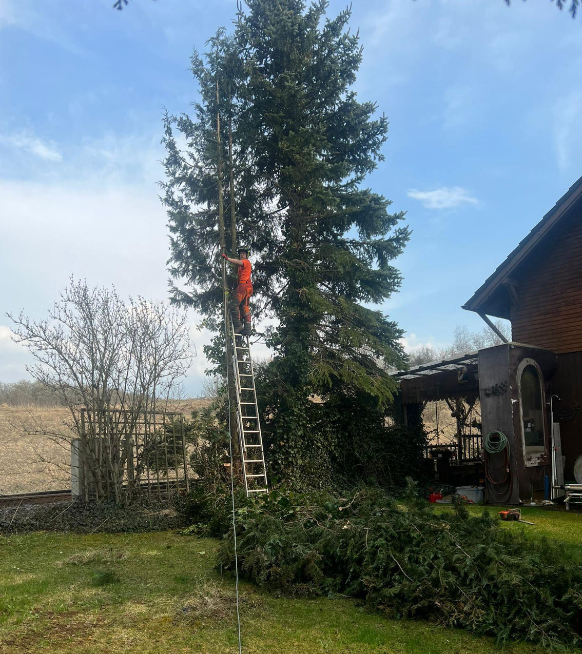 Bilder HDS Hausmeisterservice Entrümpelung Baumfällung Entkernung Demontage Altmetall-Entsorgung