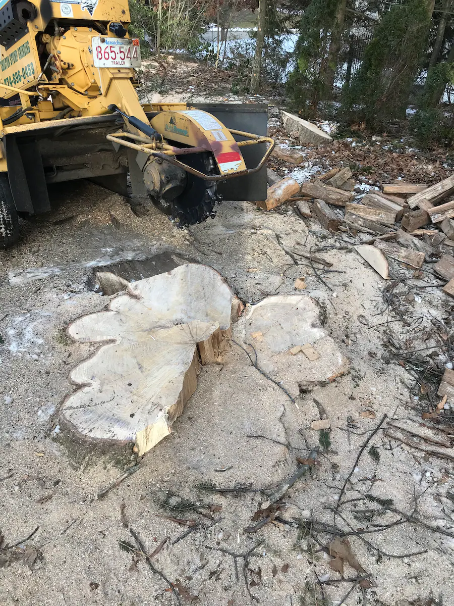 Chilton &amp; Sons Stump Grinding Logo