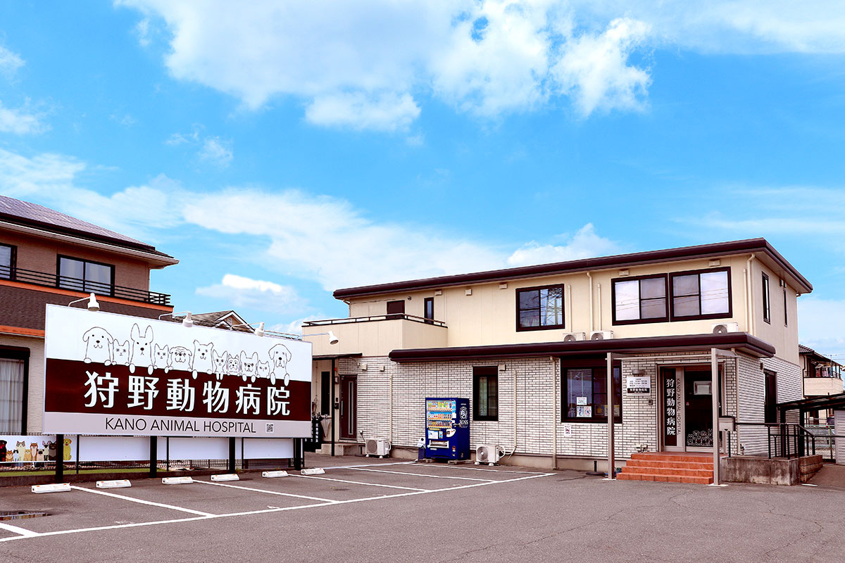 Images 狩野動物病院