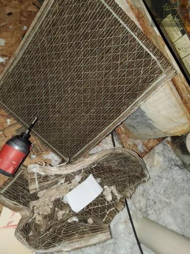 Images Dynasty Ducts