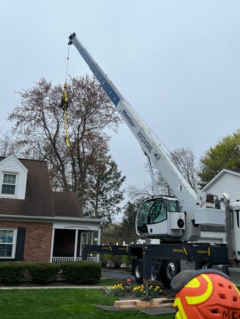 Images A&J Tree Service Inc.