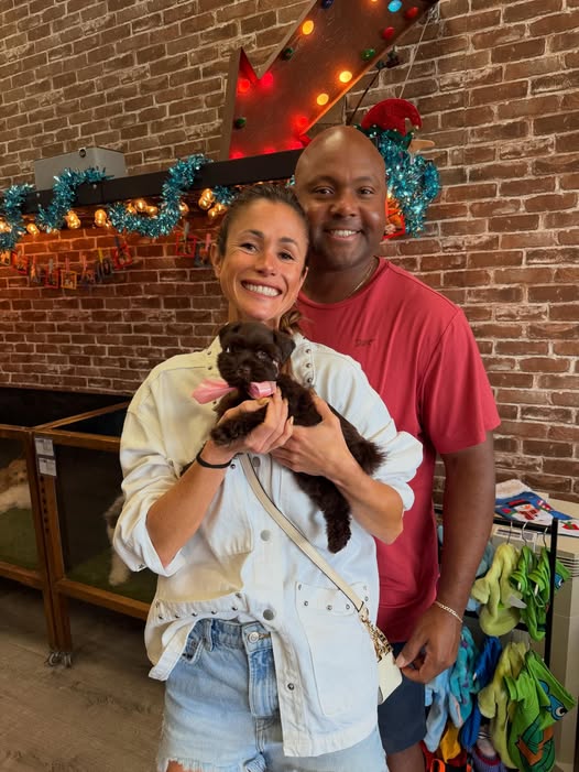 Puppies Direct Image