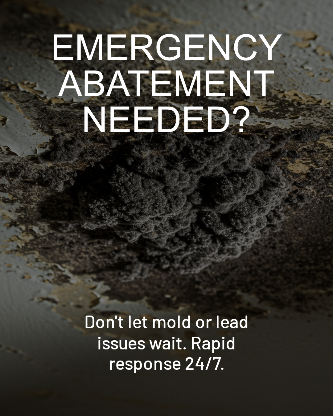 Chase Environmental Asbestos,Lead and Mold Removal Image