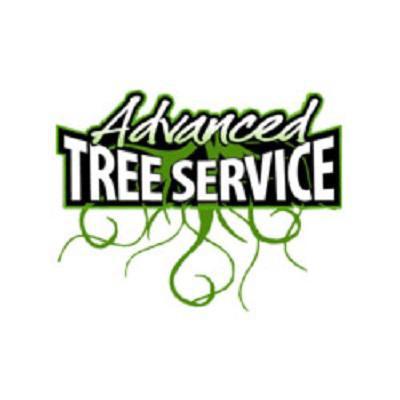 Advanced Tree Service LLC - Valrico, FL - (813)322-2079 | ShowMeLocal.com