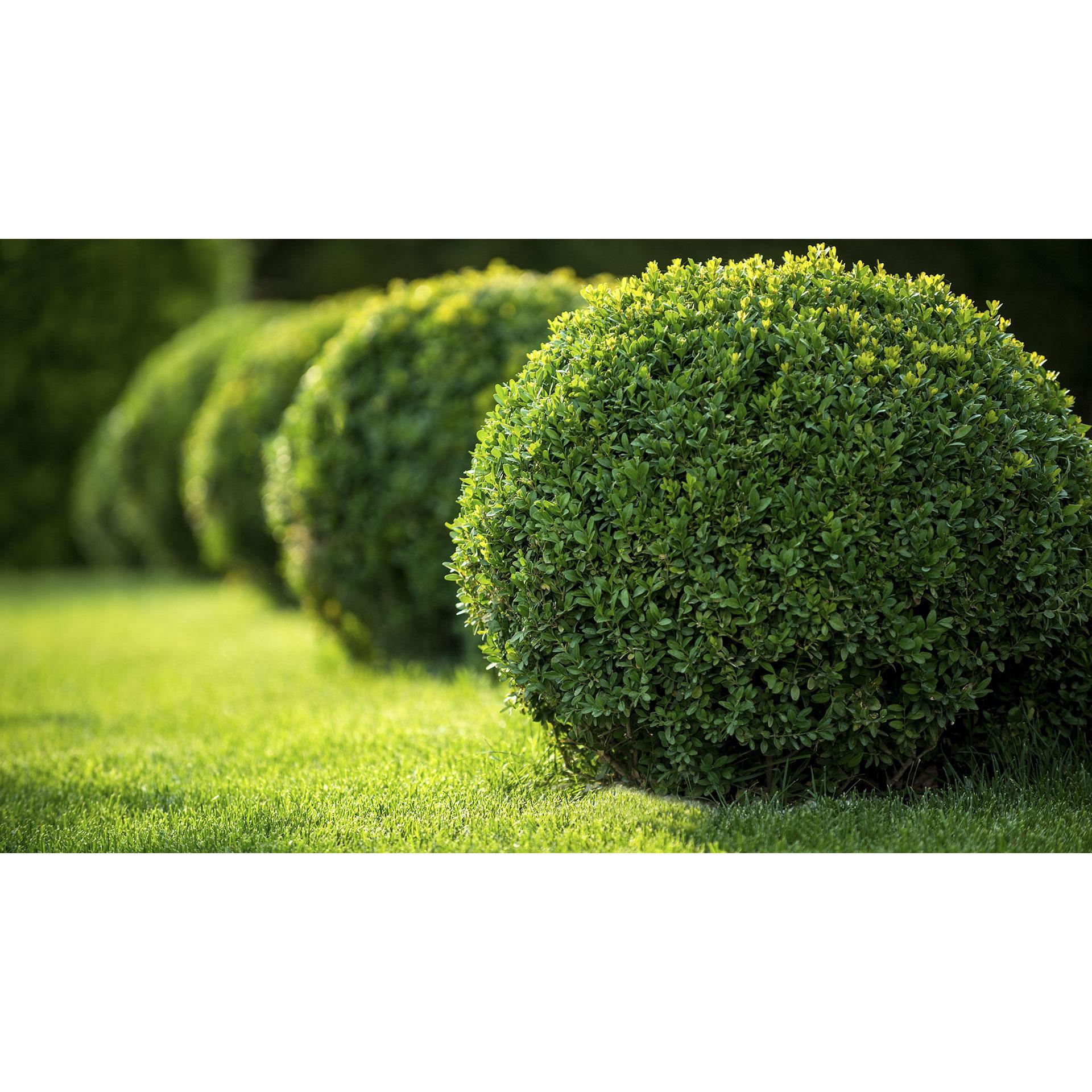 Greenway Tree And Lawn Services Inc Logo