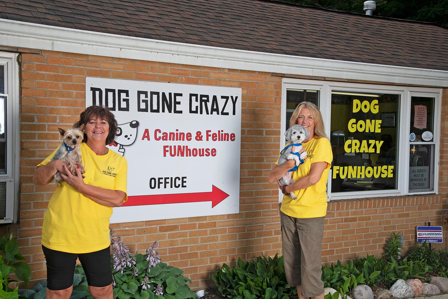 Dog Gone Crazy Kennels Photo