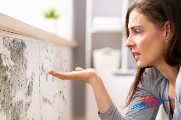 Images First Response Restoration, Water Damage Minneapolis Specialist